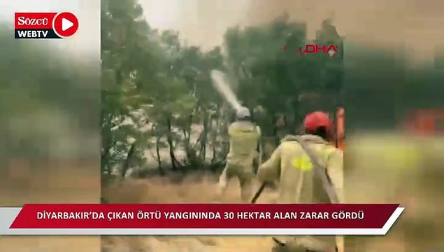 Diyarbakır’da çıkan örtü yangınında 30 hektar alan zarar gördü