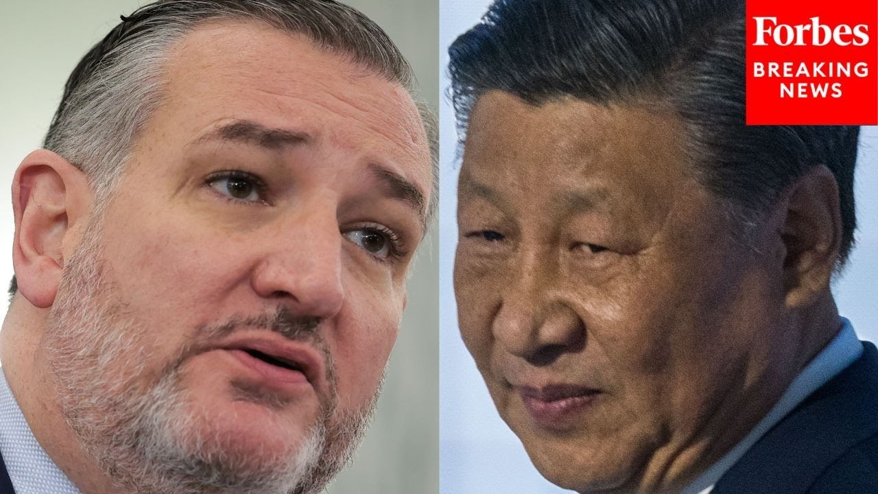 Ted Cruz Warns 'The Economy, The Energy Transition, & Even The Defense Supply Chains' Depend On China