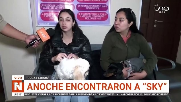 ¡Final feliz! 'Sky' y 'Bender' vuelven con sus dueños tras ser robados de sus casas