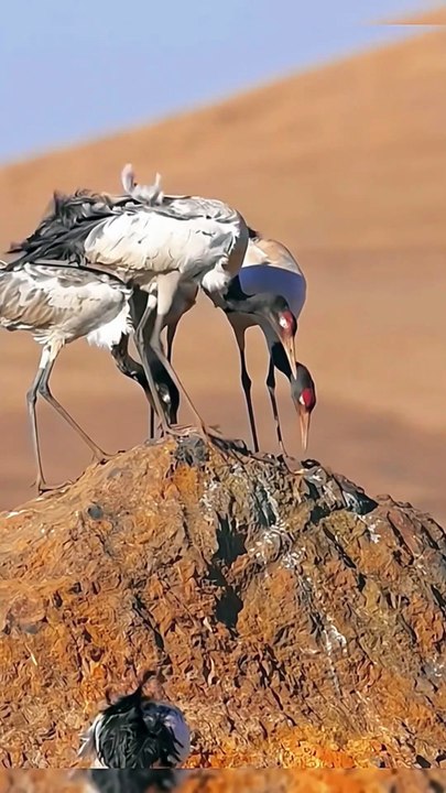 Exploring Village Forests | Rivers, Waterfalls & Pure Nature