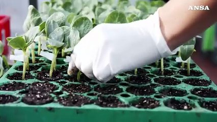 Cdp, in 6 mesi 15,8 miliardi, 'sostegno alle sfide del Paese'