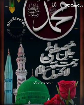 Lajpal Nabi ﷺ | Mere Dardan Di Dawa Dena | Owais Raza Qadri Naat Status