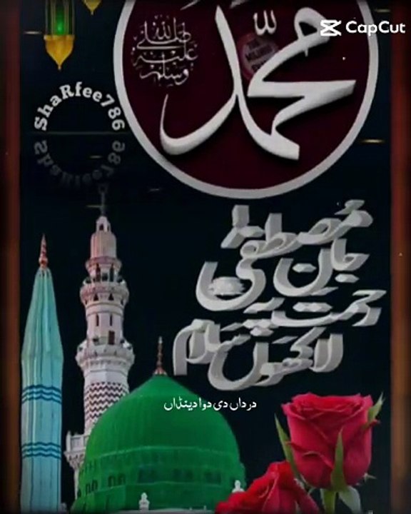 Lajpal Nabi ﷺ | Mere Dardan Di Dawa Dena | Owais Raza Qadri Naat Status