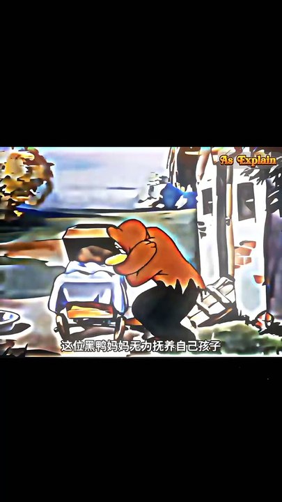Popular Cartoon -8