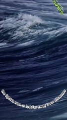 Don't quit. Suffer now and live the rest of your life as a champion #echoquotes #viral