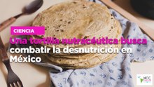 Una tortilla nutracéutica busca combatir la desnutrición en México