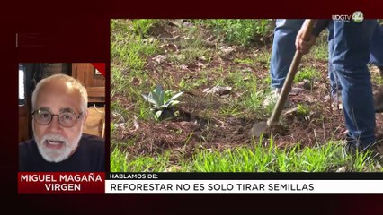 Reforestar no es solo tirar semillas | Miguel Magaña