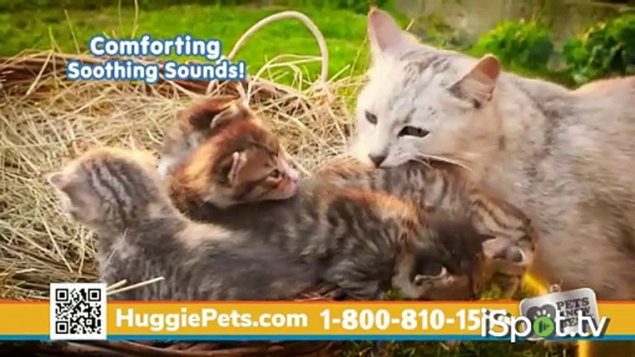 Bet On Your Baby Uruguay Episode Clip from 3.14.2015 When pets need love, give them a hug with Huggiepup and Huggiekitty!