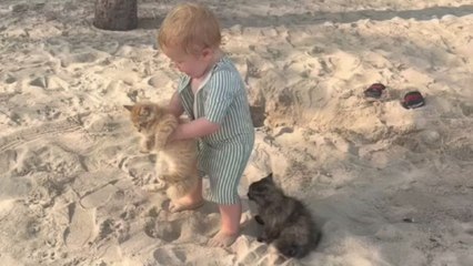 Heartwarming scene as child befriends kittens brought to the beach by another family