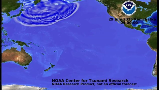 Animation reveals how tsunami, triggered by 8.8-magnitude earthquake, surged across Pacific Ocean