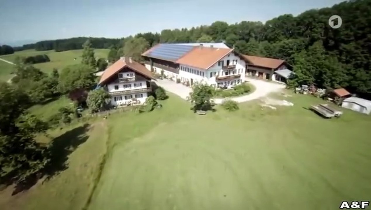 Utta Danella -27- Von Kerlen und Kühen