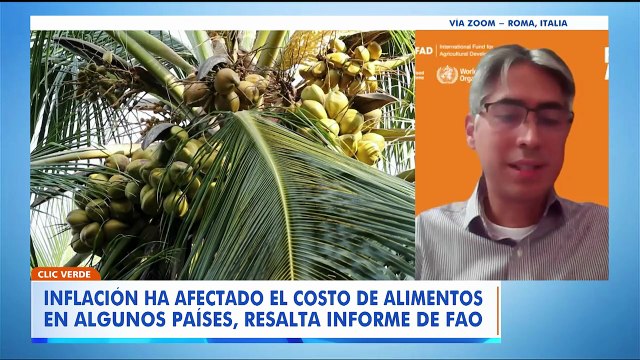 Alto precio de alimentos, conflictos y efectos del cambio climático afectan seguridad alimentaria