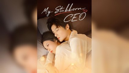 My Stubborn CEO