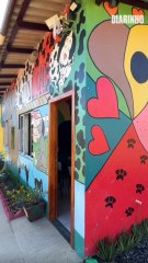 Programa em que presidiários tratam dogs vira modelo de Itajaí para o Brasil