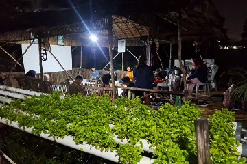 Diskusi Film Pulau Plastik dalam Peringatan Hari Mangrove