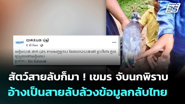 สัตว์สายลับก็มา ! เขมร จับ นกพิราบอ้างเป็นสายลับล้วงข้อมูลกลับไทย | โชว์ข่าวเช้านี้ | 1 ส.ค. 68