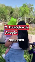 Donde ver capibaras en CDMX