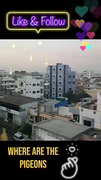 Join me for a stunning glimpse of India's heart! #rooftop #cityview #india #travel #sunset #urban