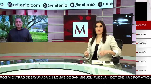 Hallan tres fosas clandestinas con restos humanos en el cerro del Tepetlayo, Guerrero