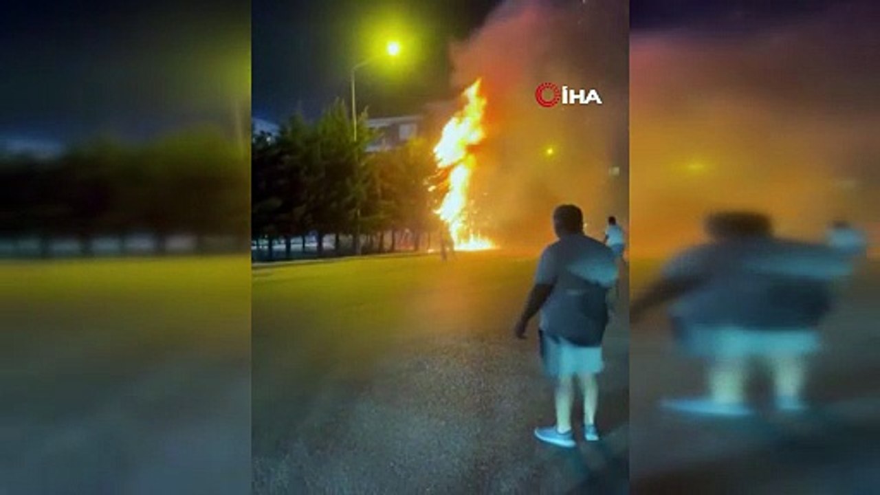 Çocukların torpille oyunu ağaçlık alanı tutuşturdu: Çok sayıda ağaç küle döndü
