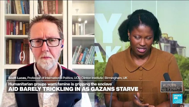 US envoy visits aid site in Gaza: 'This was a public relations visit', analyst says