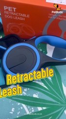 Discover the Best No Pull Dog Harness for Daily Walks