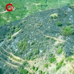 Tekirdağ Şarköy’de makilik alanda çıkan yangın kontrol altına alındı