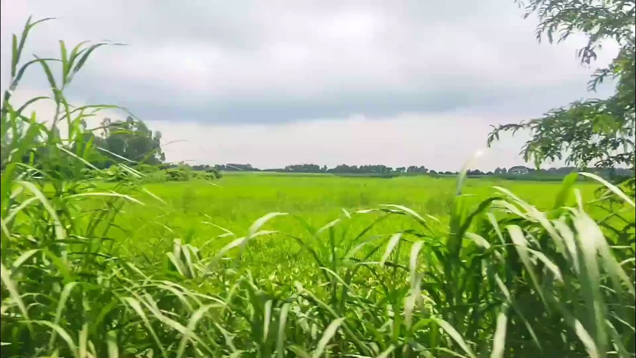 Breathtaking Green Natural Scenery with Lush Fields and Peaceful Skies