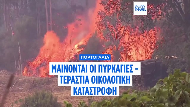 Πυρκαγιές και καύσωνας καίνε την Πορτογαλία- Τεράστια οικολογική καταστροφή
