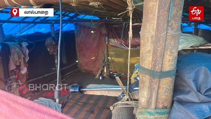 வீட்டிற்குள் புகுந்து 3 வயது குழந்தையை தூக்கிச் சென்ற புலி: அடுத்த நொடி காத்திருந்த ஆச்சரியம்