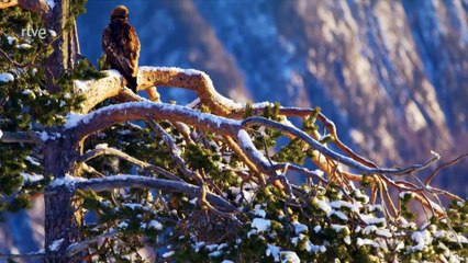 Gigantes y Salvajes Cap 4 - Gigantes en tierras altas