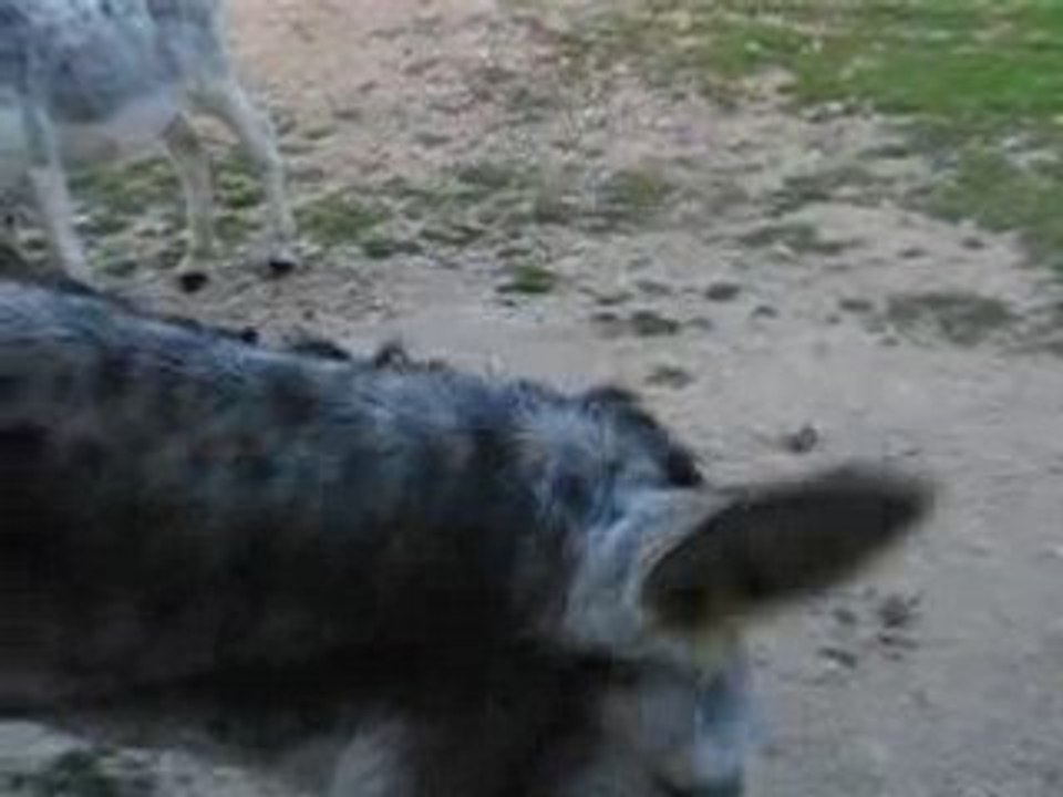 catherine en plein bonheur