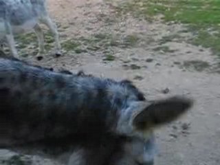 catherine en plein bonheur