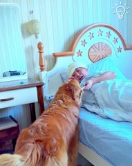 Check out how this lovely dog takes care of his owner 😍