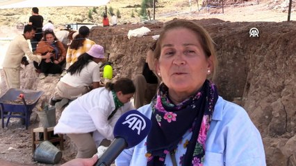 Kavurucu sıcaklarda 9 milyon yıllık fosillerin izini sürüyorlar