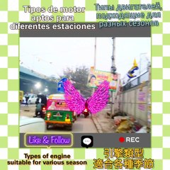 Join me for this gearhead guide! #motorcycle #engineoil #bikelife #motomaintenance #rider #reels #viral #fyp #explorepage #trending #foryou