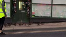 Yorkshire volunteer ‘duck wardens’ escort ducks