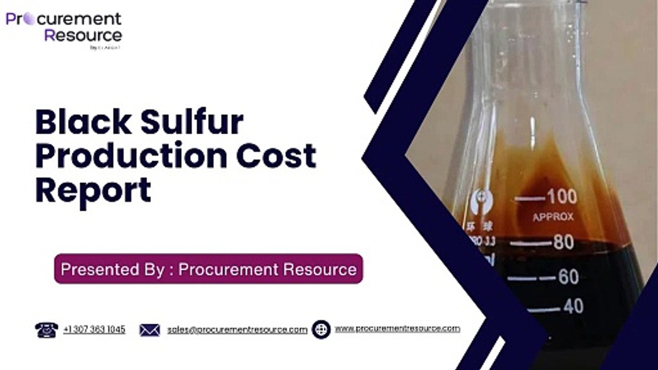 Black Sulfur Production Cost Analysis Report