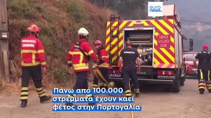 Ειδήσεις | 1 Αυγούστου 2025 - Μεσημβρινό δελτίο