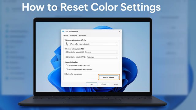 🎨 How to Easily Reset Color Settings in Windows 11 / Windows 10 ✅ | Step-by-Step Tutorial