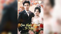One Night Stand... To Forever (DUBBED)