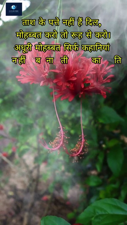 टूटा दिल | मोहब्बत | पल भर की मोहब्बत | इश्क़ | Hamari Adhuri Kahani | Miss you 💔😭#shorts #sad #love
