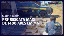 PRF resgata 1400 aves transportadas ilegalmente