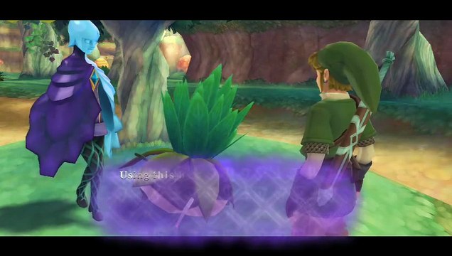 The Legend of Zelda: Skyward Sword online multiplayer - wii
