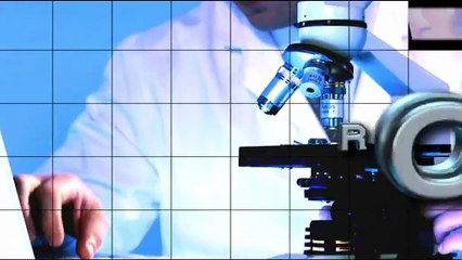 Boom di nidi di tartarughe marine, in azione anche i Tarta Dog