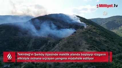 Şarköy'de orman yangını! Havadan ve karadan müdahale ediliyor