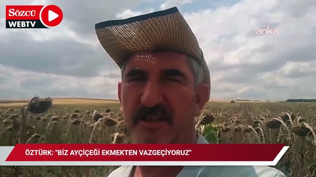 Edirne'nin Lalapaşa İlçe Ziraat Odası Başkanı Öztürk: Biz ayçiçeği ekmekten vazgeçiyoruz