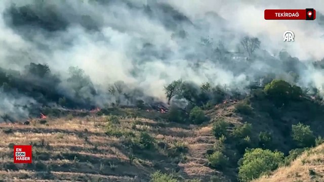 Tekirdağ'ın Şarköy ilçesinde çıkan orman yangınına müdahale ediliyor