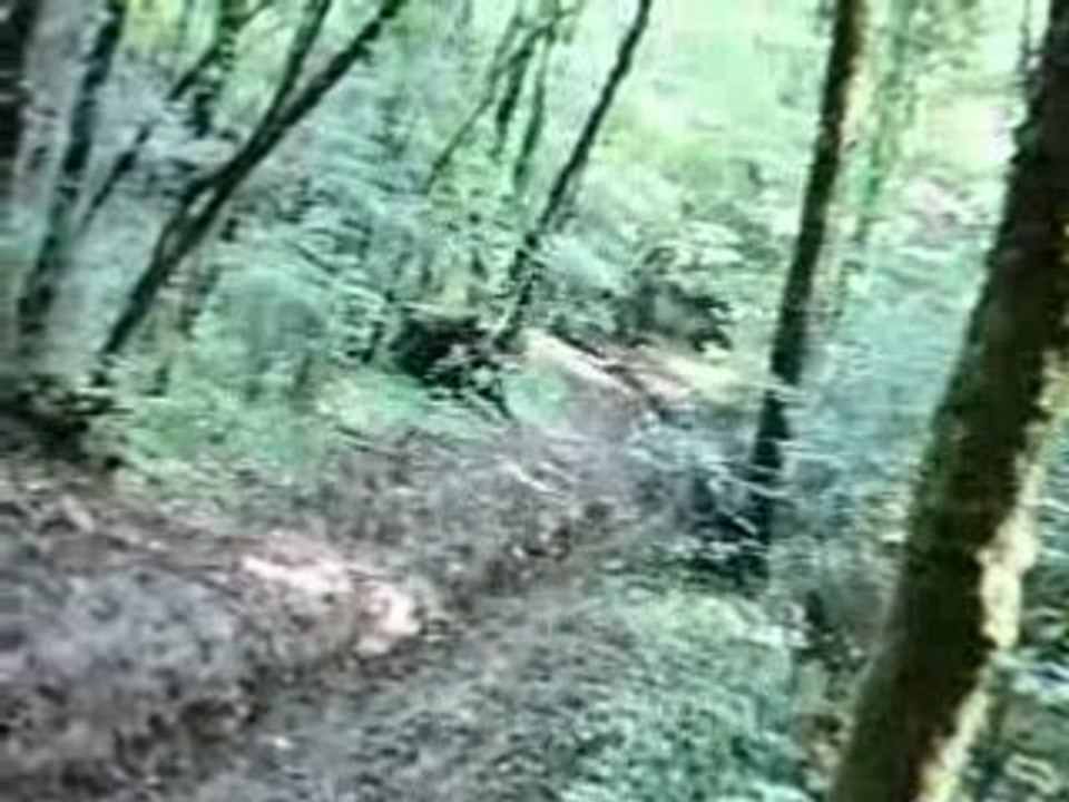 Rando mai 2008 ZONE 1 (16) lignière