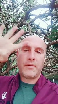 4 hidden tips to getting emails opened